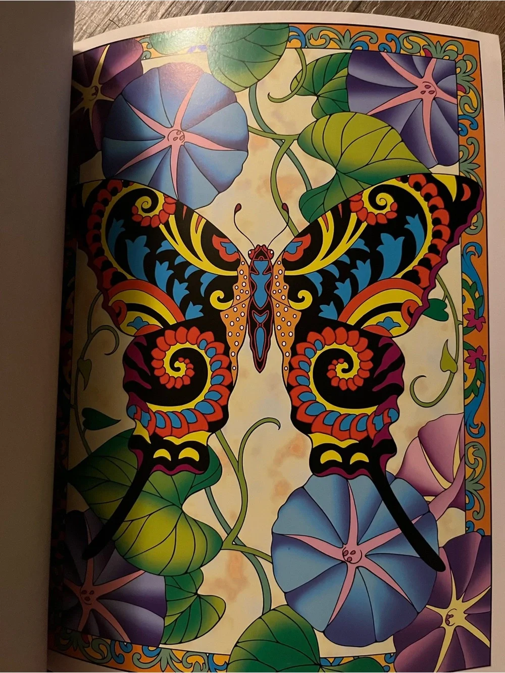 Incredible Insect Designs Coloring Book - Purple & Multicolor